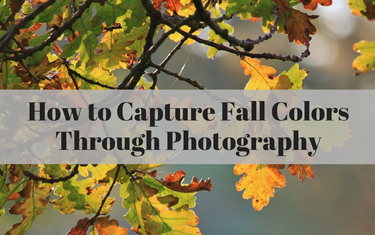 How to Capture Fall Colors Through Photography