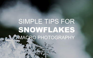 Simple Tips for Snowflake Macro Photography