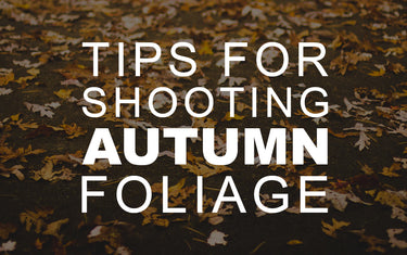 Tips for Shooting Autumn Foliage