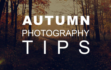 Autumn Photography Tips