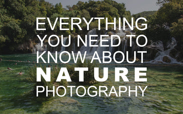 Everything You Need to Know About Nature Photography