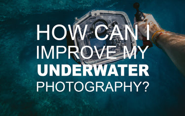 How Can I Improve my Underwater Photography?