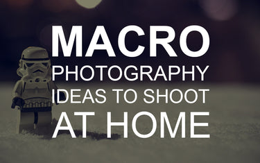 Macro Photography Ideas to Shoot at Home