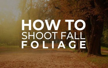 How to Shoot Fall Foliage
