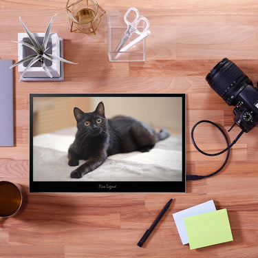 Acer PM161Q Bbmiuux 15.6" Full HD