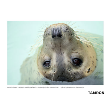 Tamron 70-300mm F/4.5-6.3 Di III RXD Lens A047 for Sony E-mount +7 Year Protection Pack