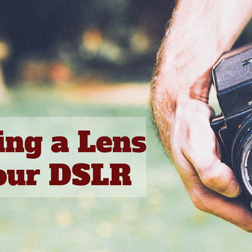 Choosing a Lens for your DSLR