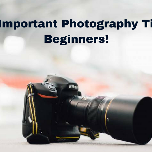 Most Important Photography Tips for Beginners