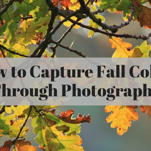 How to Capture Fall Colors Through Photography
