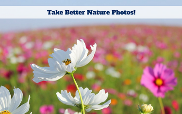 Take Better Nature Photos