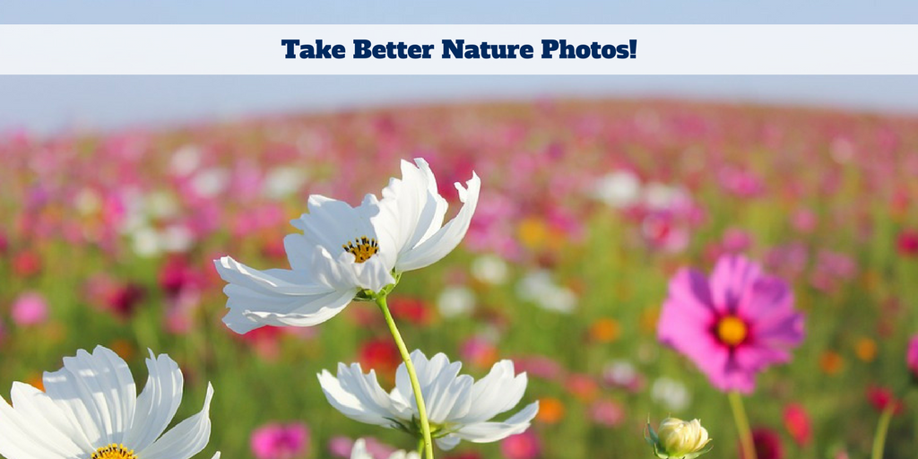 Take Better Nature Photos