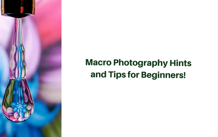 Macro Photography Hints and Tips for Beginners