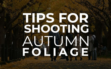 Tips for Shooting Autumn Foliage