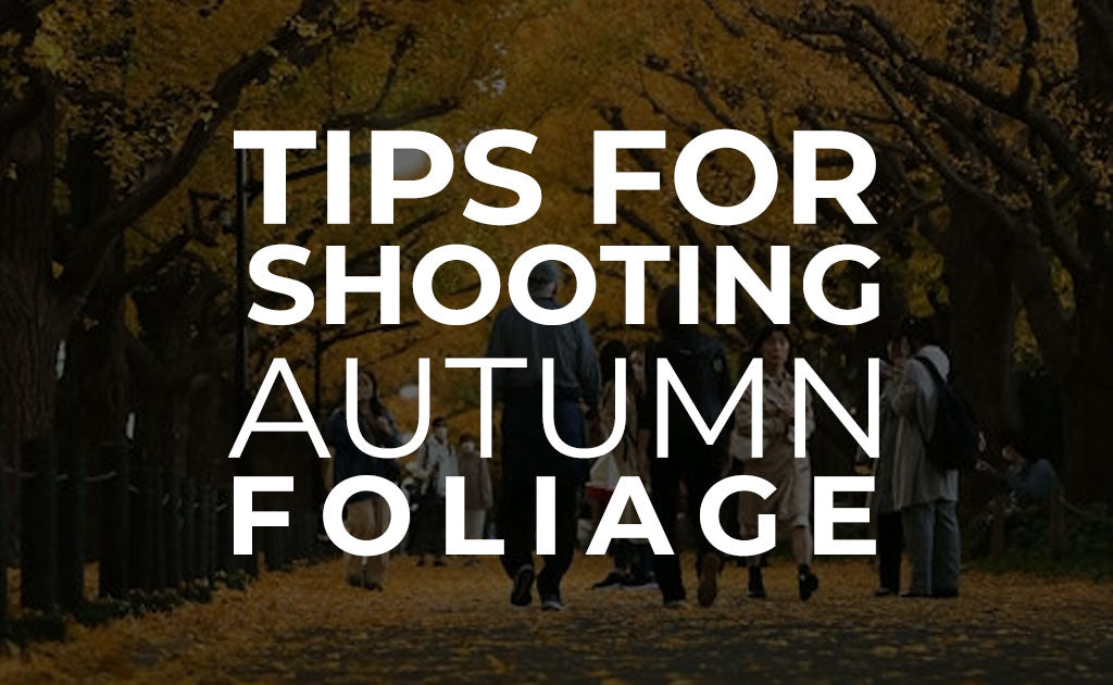 Tips for Shooting Autumn Foliage