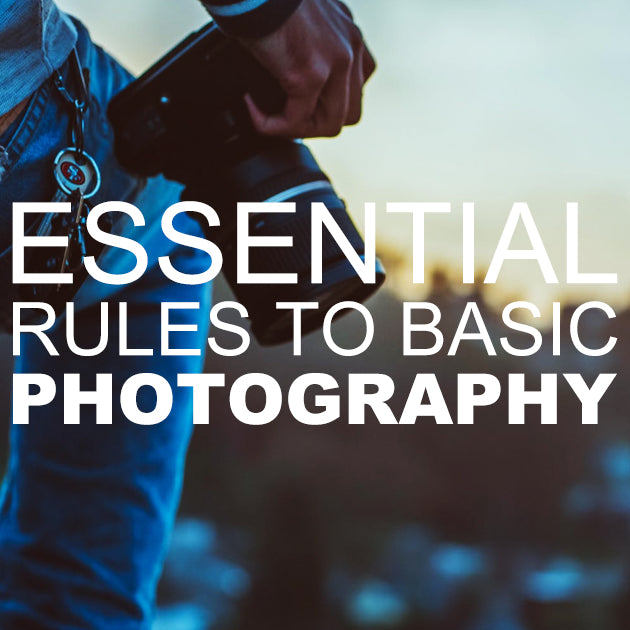 Essential Rules to Basic F