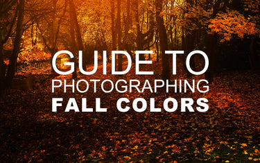 Guide to Photographing Fall Colors