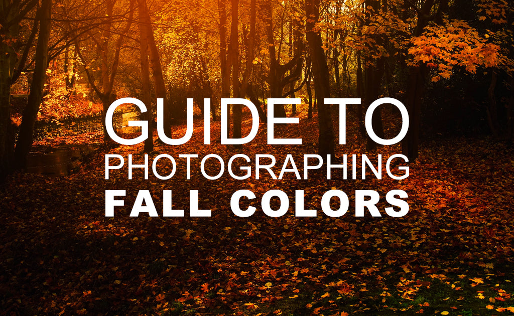 Guide to Photographing Fall Colors