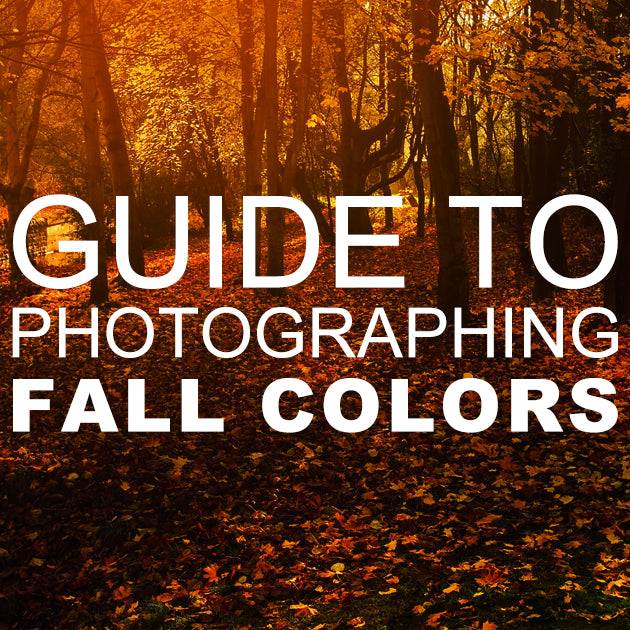 Guide to Photographing Fall Colors