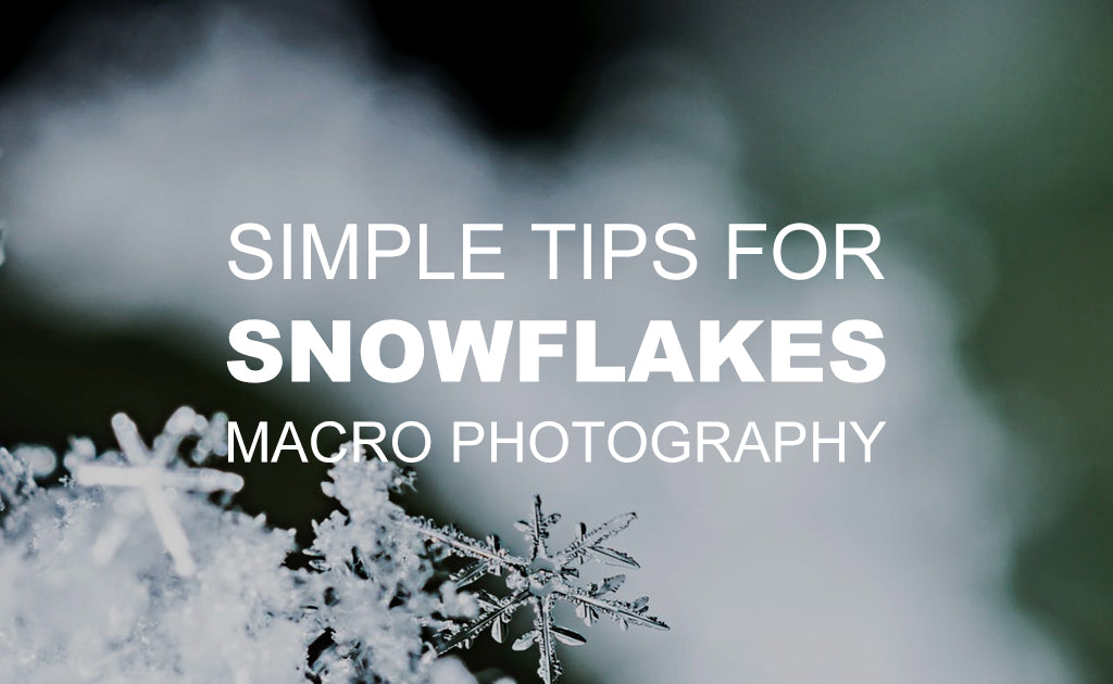 Simple Tips for Snowflake Macro Photography