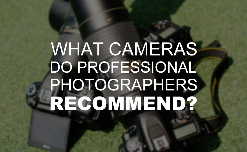 What Cameras Do Professional Photographers Recommend?