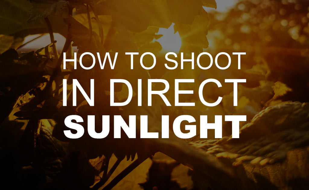 How to Shoot in Direct Sunlight