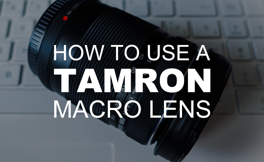 How to Use a Tamron Macro Lens