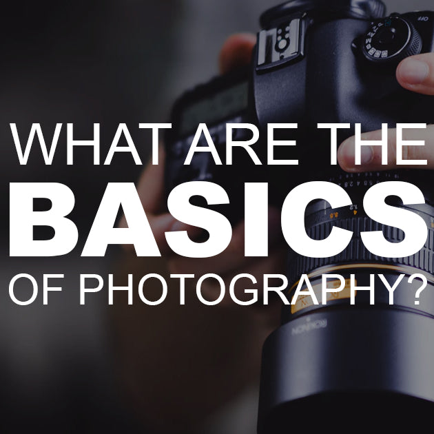 What are the Basics of Photography?