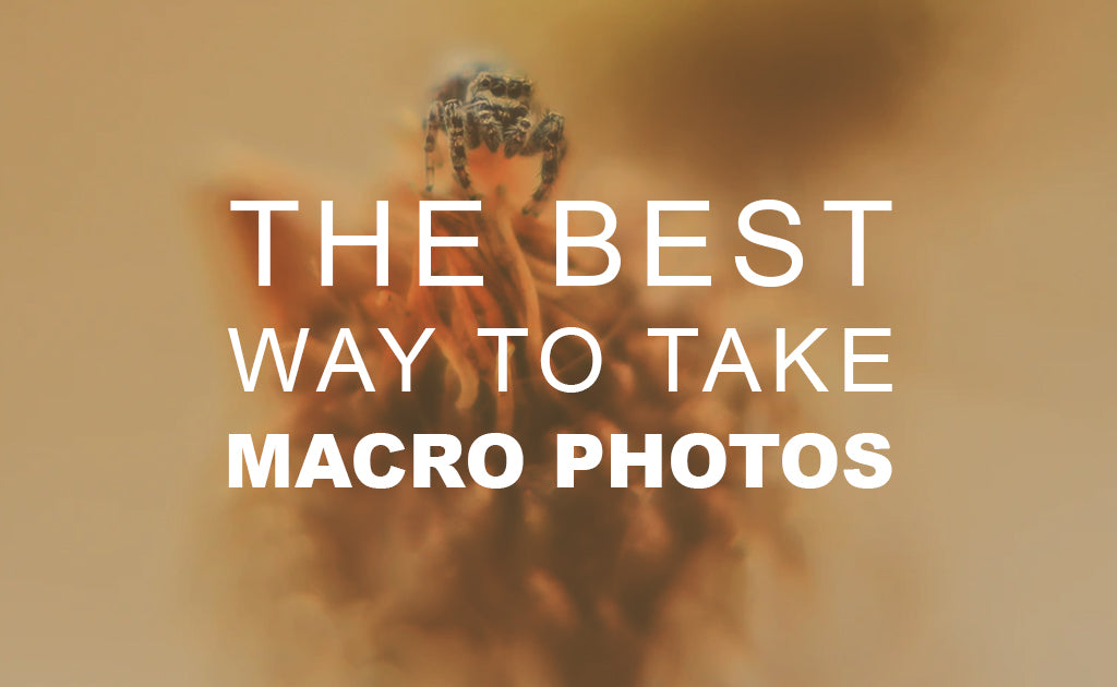 The Best Way to Take Macro Photos