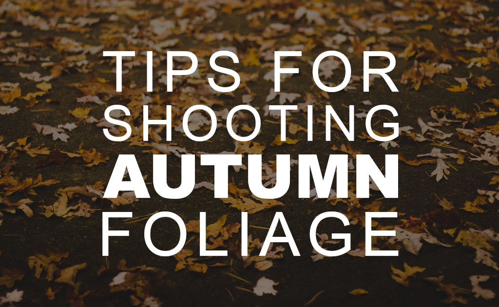 Tips for Shooting Autumn Foliage