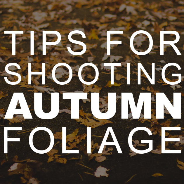 Tips for Shooting Autumn Foliage