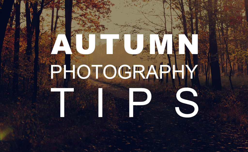 Autumn Photography Tips