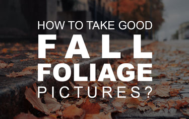 How to Take Good Fall Foliage Pictures?