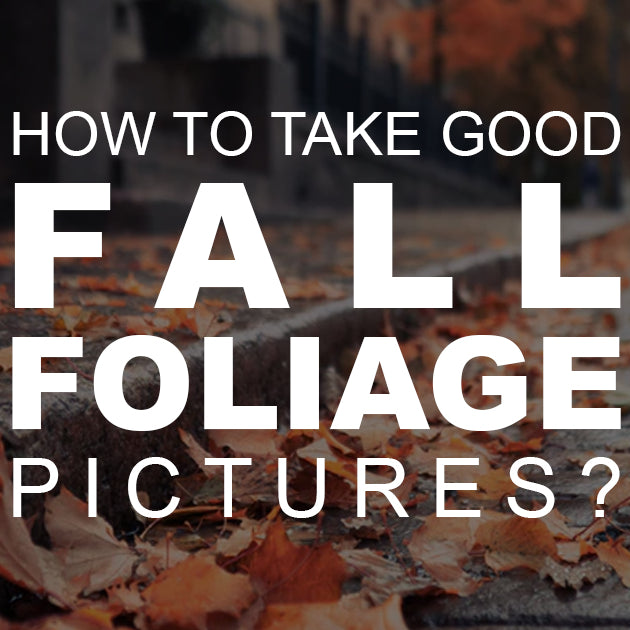 How to Take Good Fall Foliage Pictures?