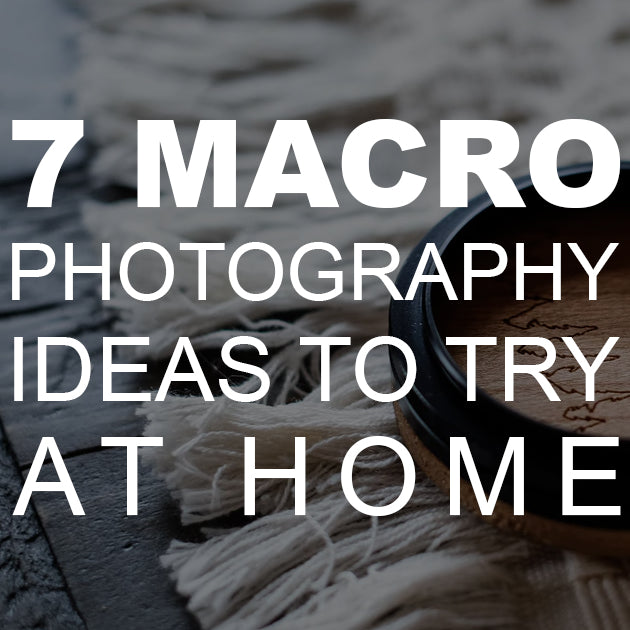 7 Macro Photography Ideas to Try at Home