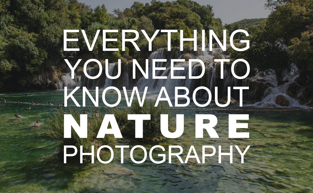 Everything You Need to Know About Nature Photography