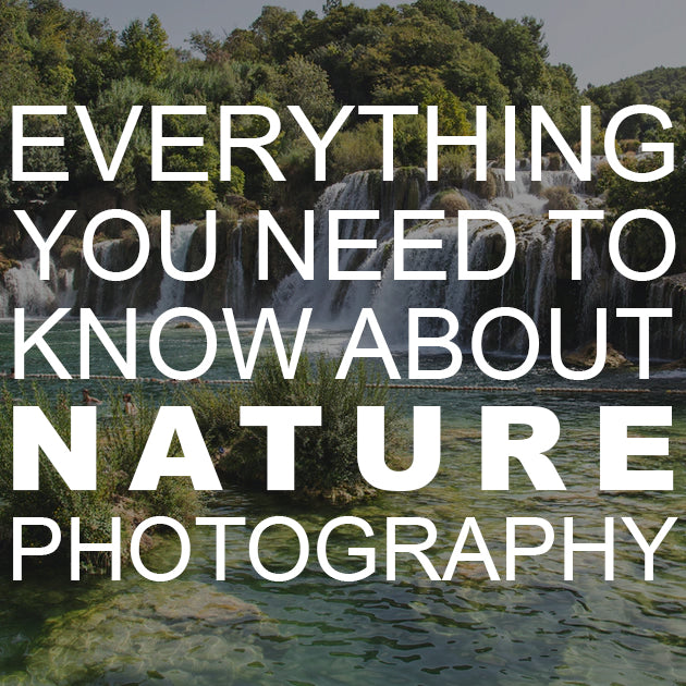 Everything You Need to Know About Nature Photography