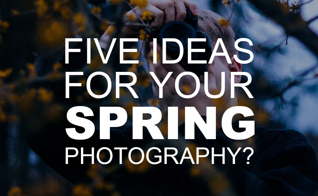Spring Photography: 5 Ideas for Capturing the Season — Beach Camera