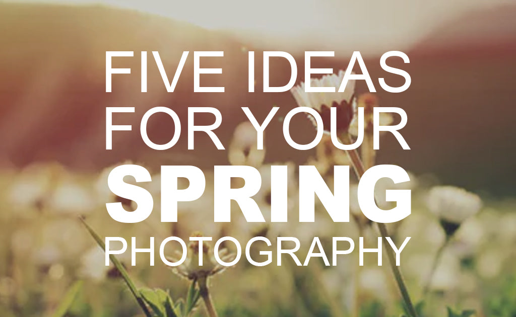 Spring Photography Names Five New Ideas for Your Spring Photography – Beach Camera