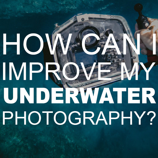 How Can I Improve my Underwater Photography?