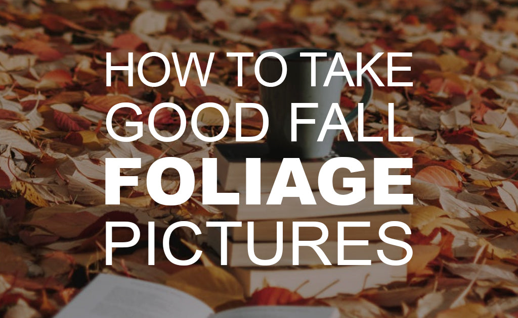 How to Take Good Fall Foliage Pictures