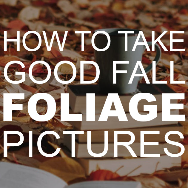 How to Take Good Fall Foliage Pictures