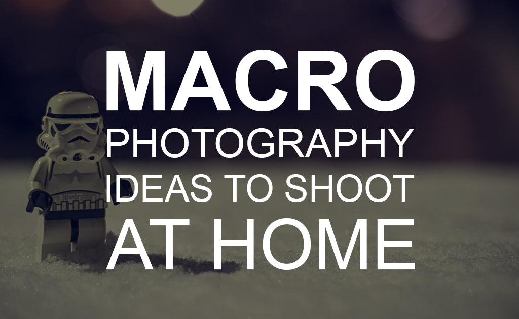 Macro Photography Ideas to Shoot at Home
