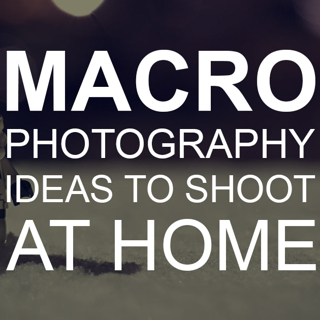 Macro Photography Ideas to Shoot at Home