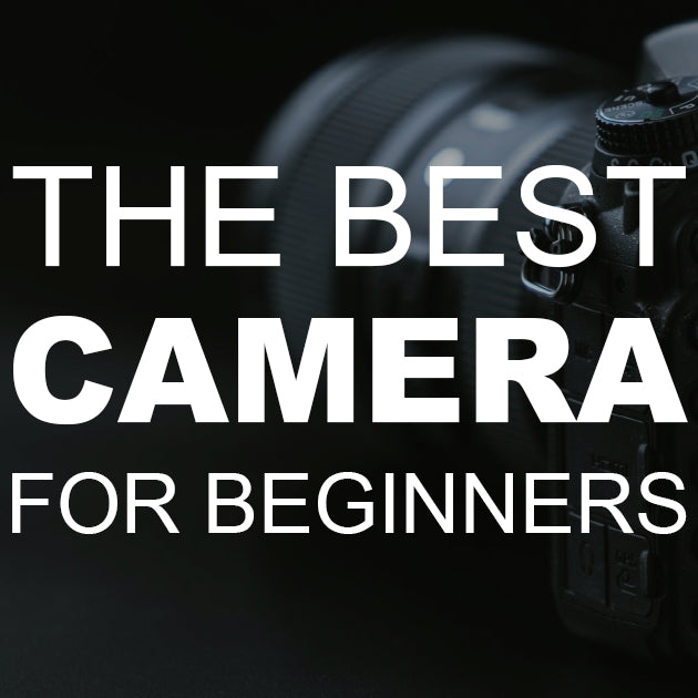 The Best Camera for Beginners