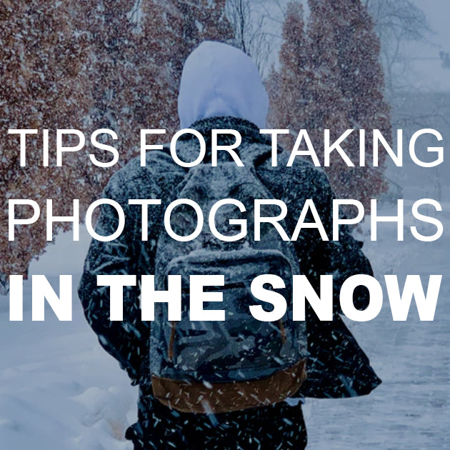 Tips for Taking Photographs in the Snow