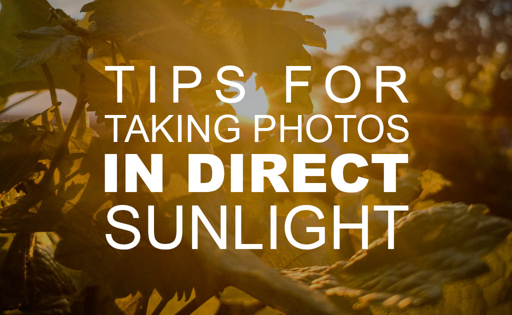 Tips for Taking Photos in Direct Sunlight
