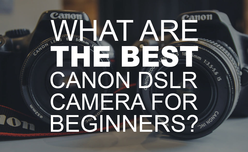 What is the Best Canon DSLR Camera for Beginners?
