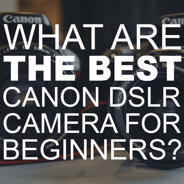 What is the Best Canon DSLR Camera for Beginners?