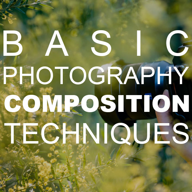 Basic Photography Composition Techniques