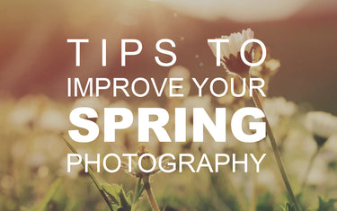 Tips to Improve Your Spring Photography